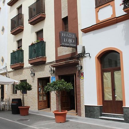 Hostal Lojo Conil De La Frontera Dış mekan fotoğraf